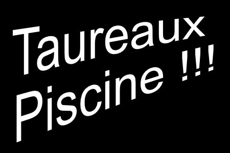 C'était 'XeLeNt !! LOL